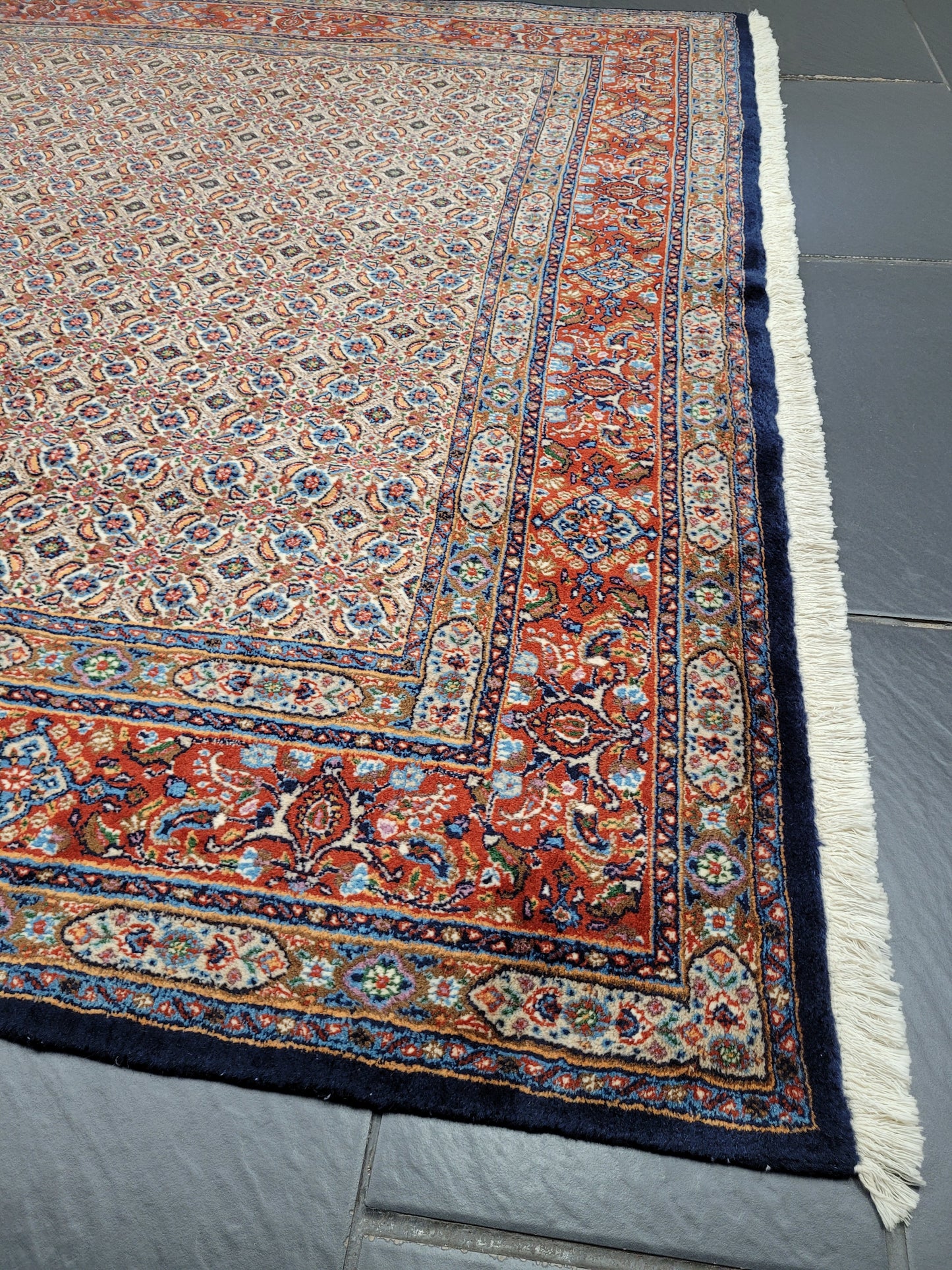 Moud Teppich 295x195 cm feine Wolle Allover-Muster