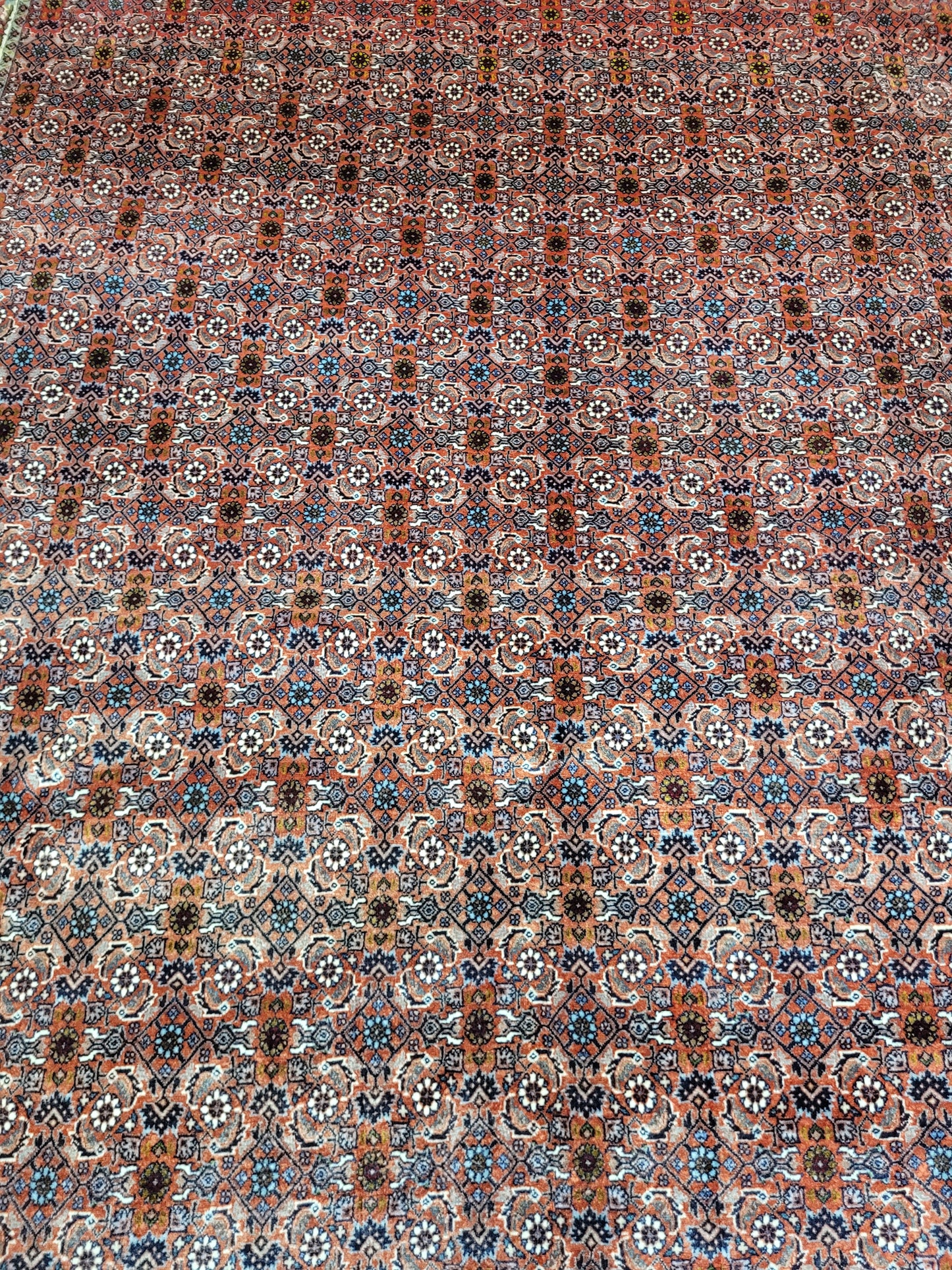 Bidjar Teppich Korkwolle feine Knüpfung 295x205 cm