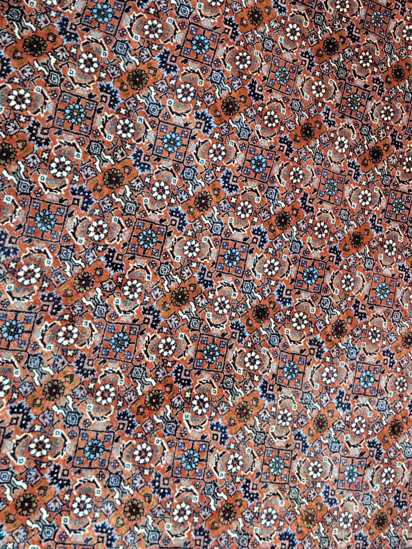 Bidjar Teppich Korkwolle feine Knüpfung 295x205 cm