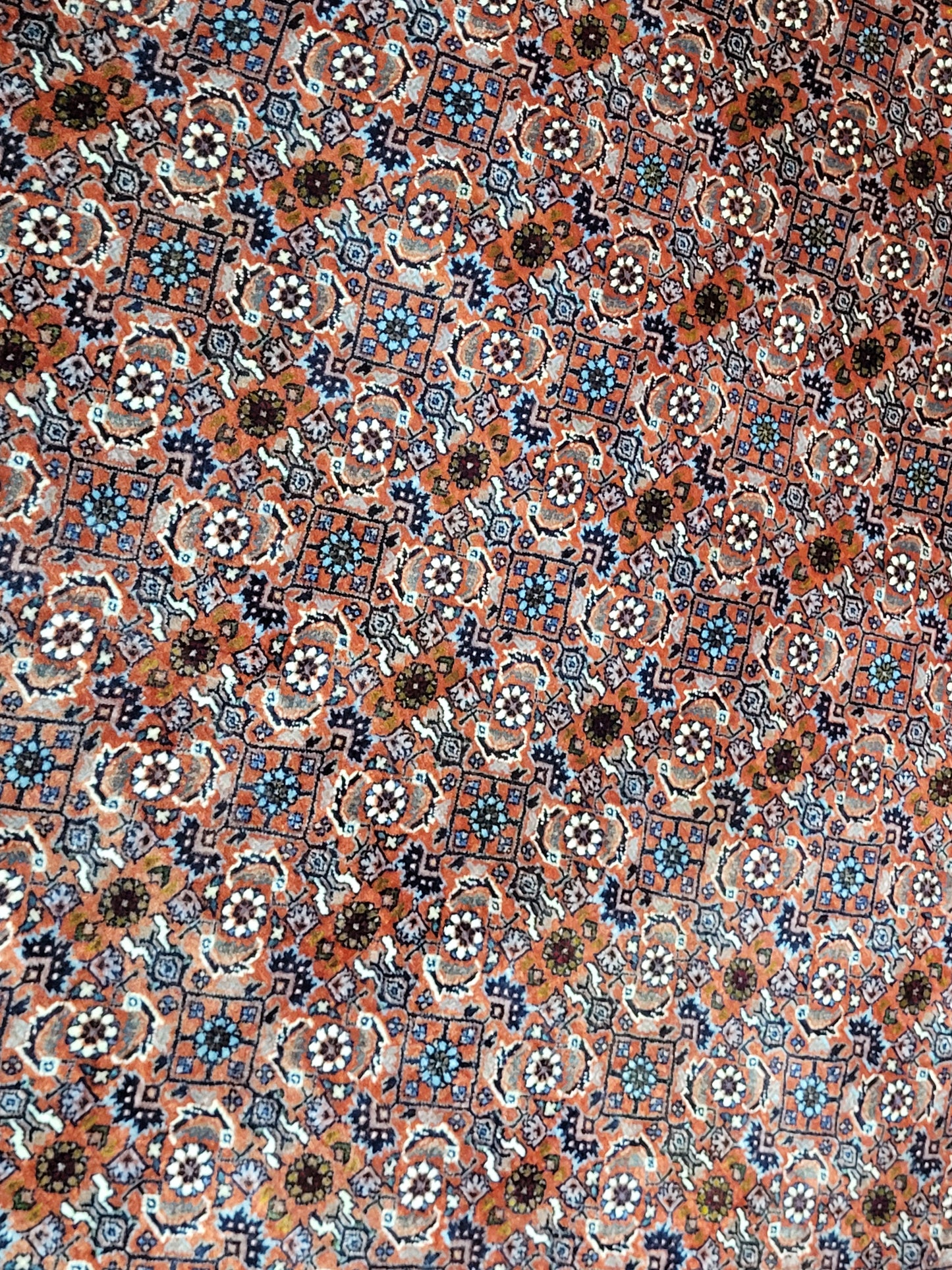 Bidjar Teppich Korkwolle feine Knüpfung 295x205 cm