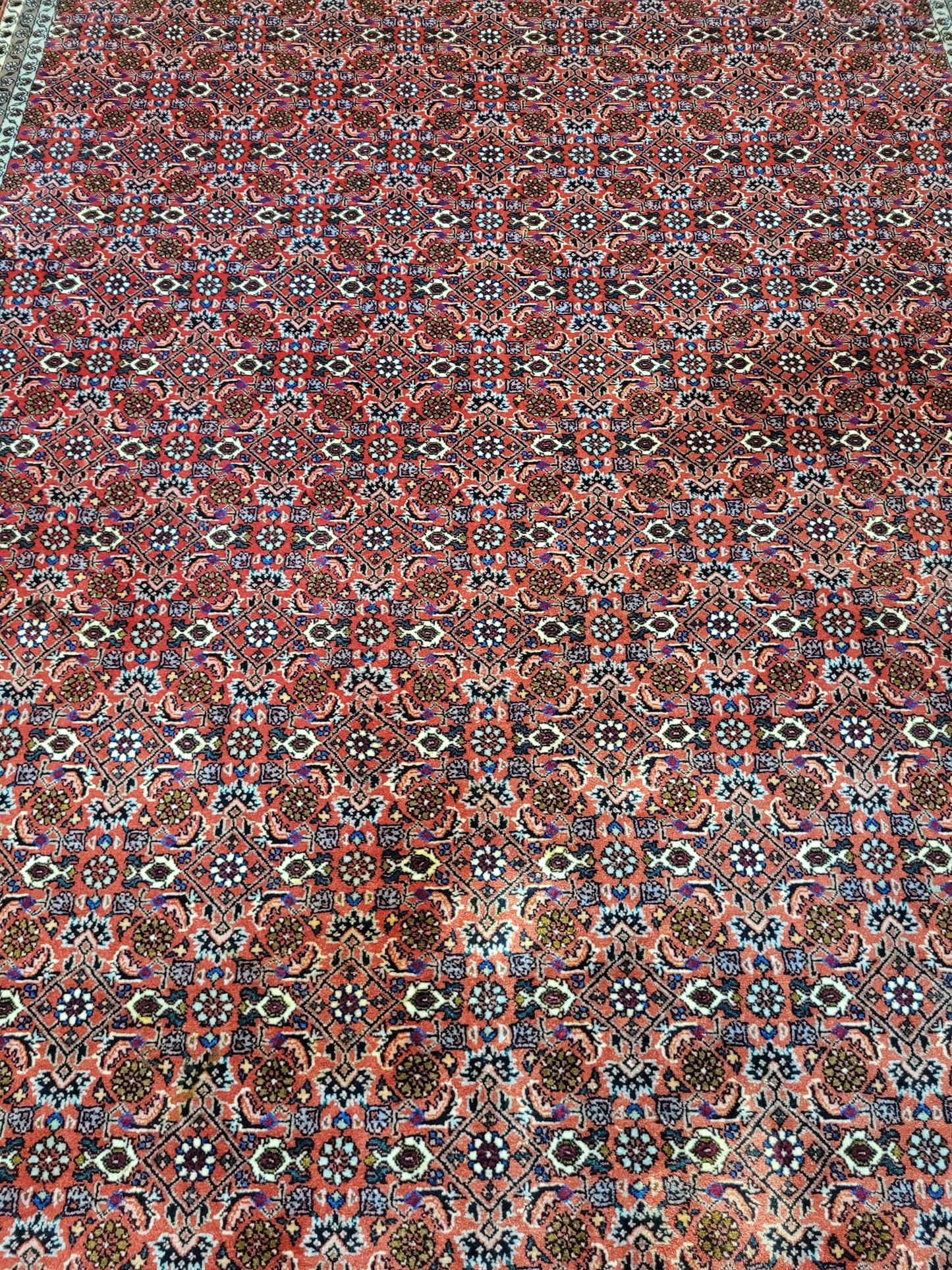 Bidjar Teppich Korkwolle feine Knüpfung 250 × 200 cm