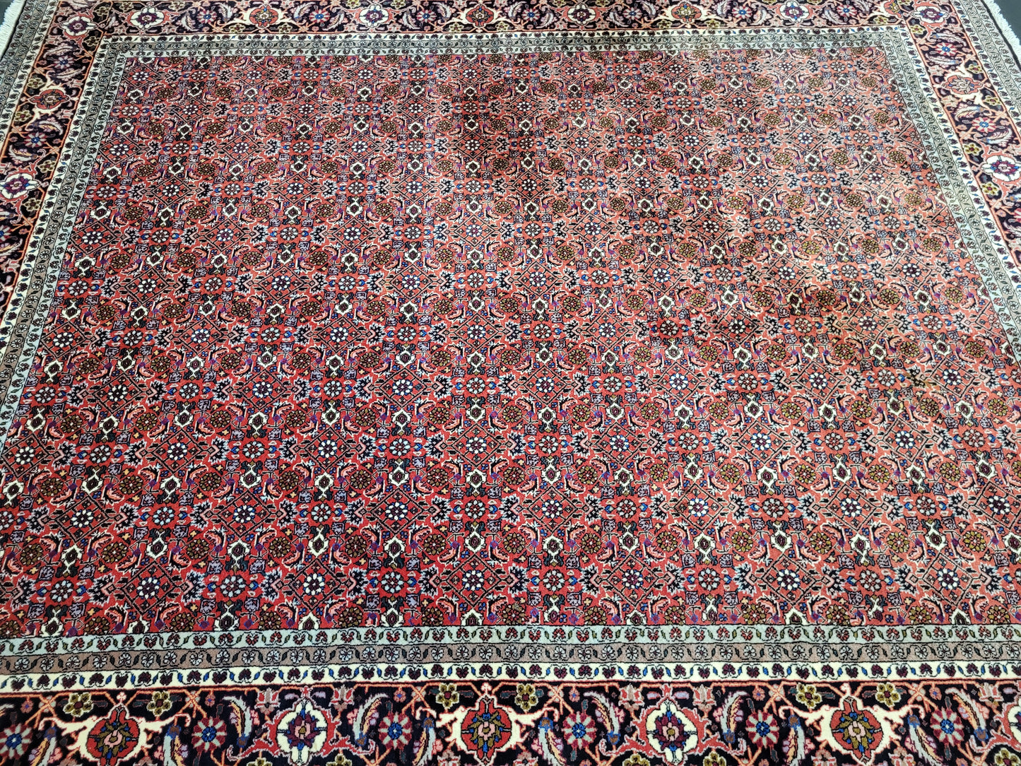Bidjar Teppich Korkwolle feine Knüpfung 250 × 200 cm