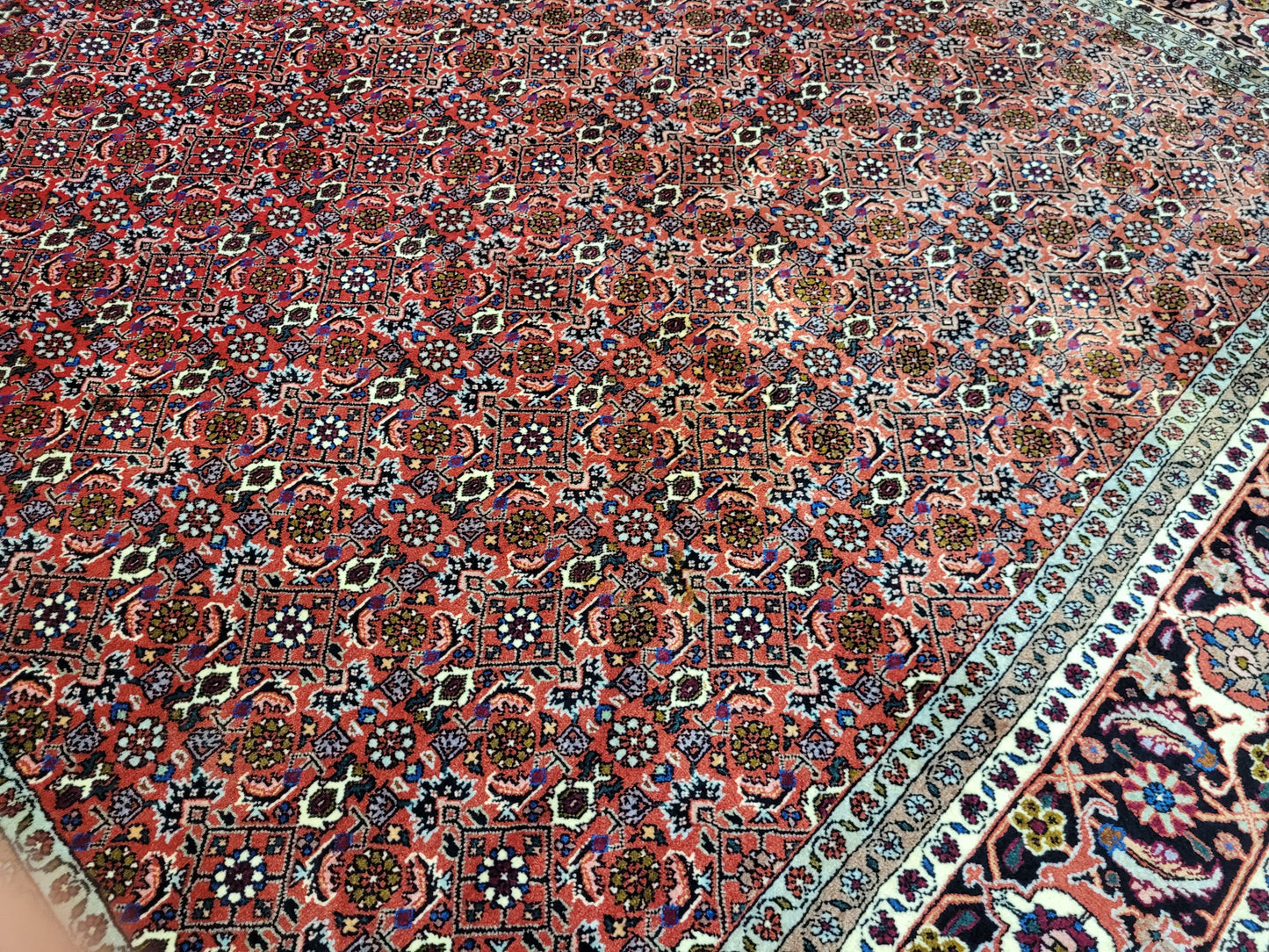 Bidjar Teppich Korkwolle feine Knüpfung 250 × 200 cm