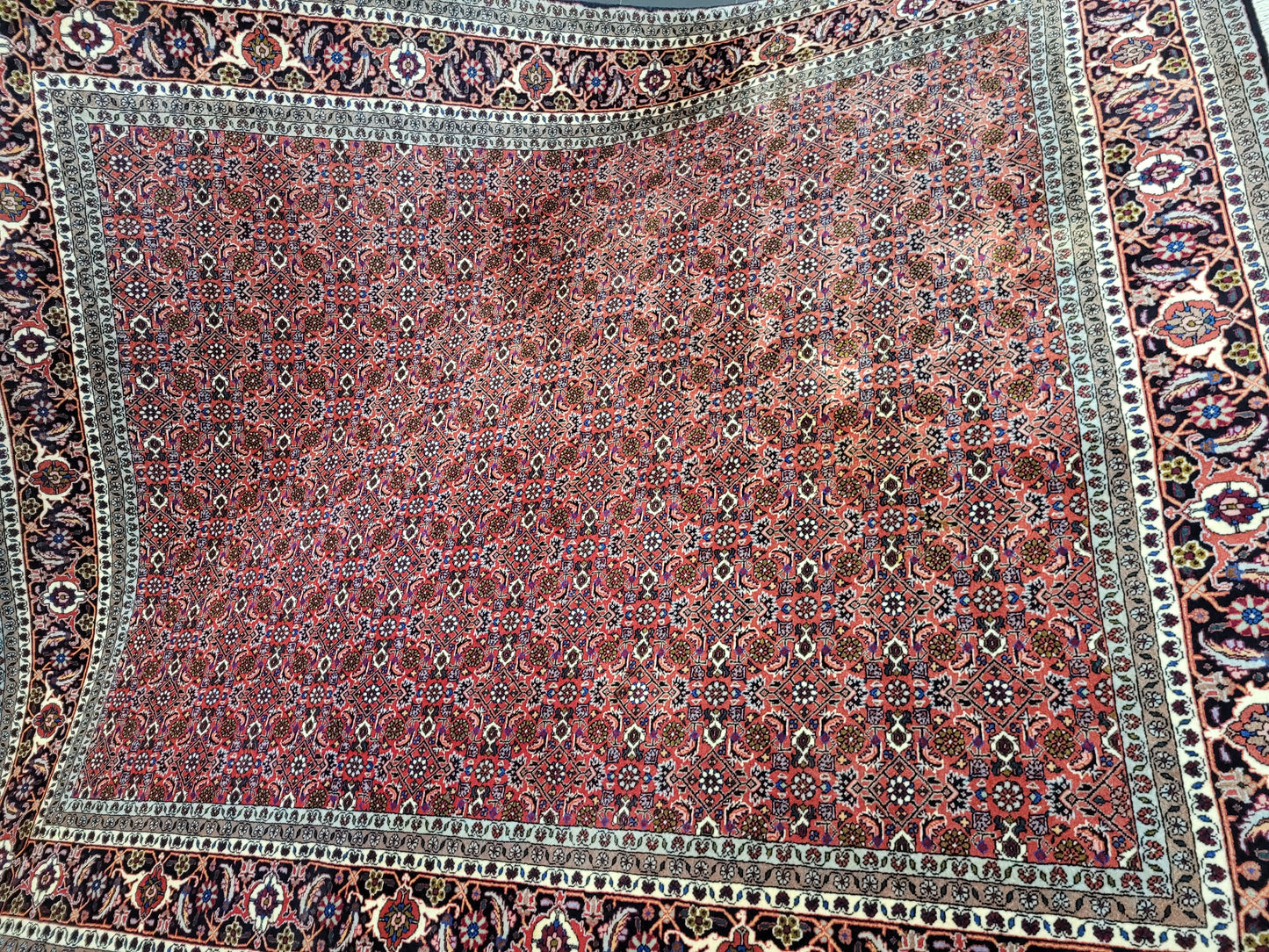 Bidjar Teppich Korkwolle feine Knüpfung 250 × 200 cm