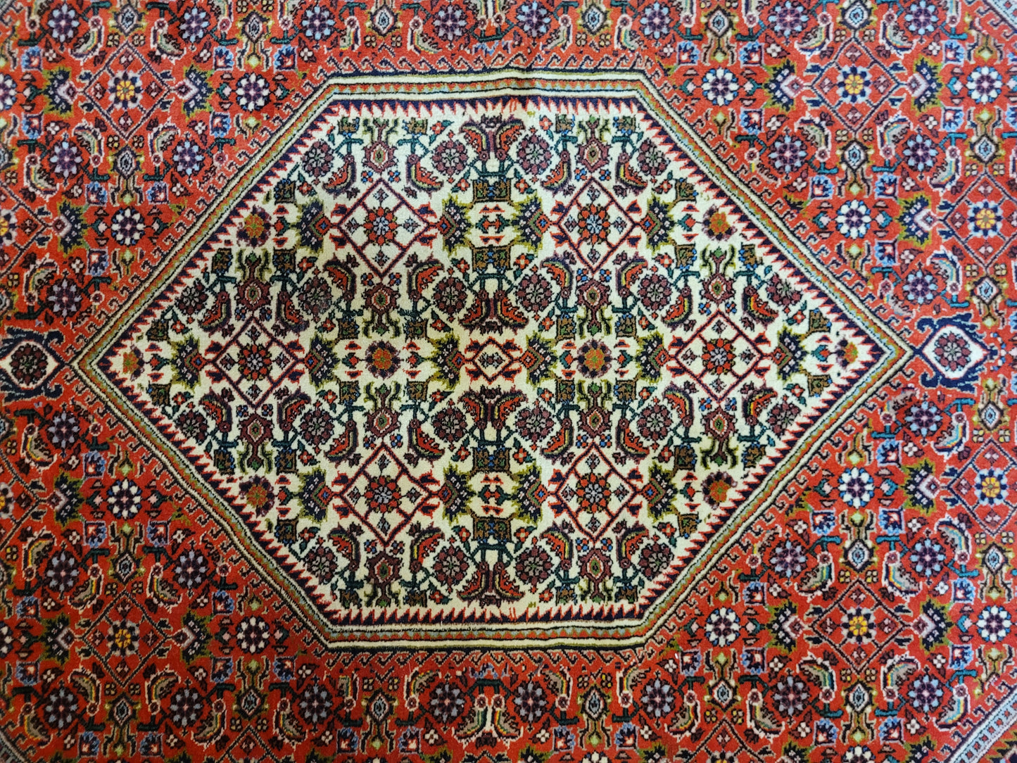 Bidjar Teppich reine Schurwolle kräftige Knüpfung 173x115 cm
