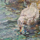 Fritz Klaiberg (1921-1998) Ölgemälde Entengruppe am See 74x84cm