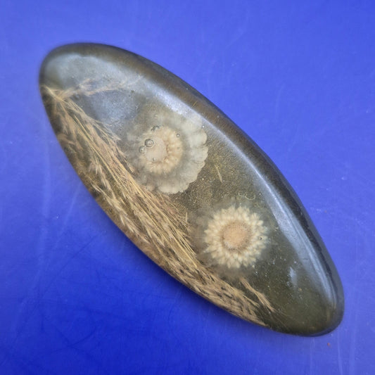 Vintage Kunstharz Brosche mit getrockneten Blumen und Gräsern