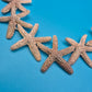 Goldfarbene Seestern Statement Kette im maritimen Design