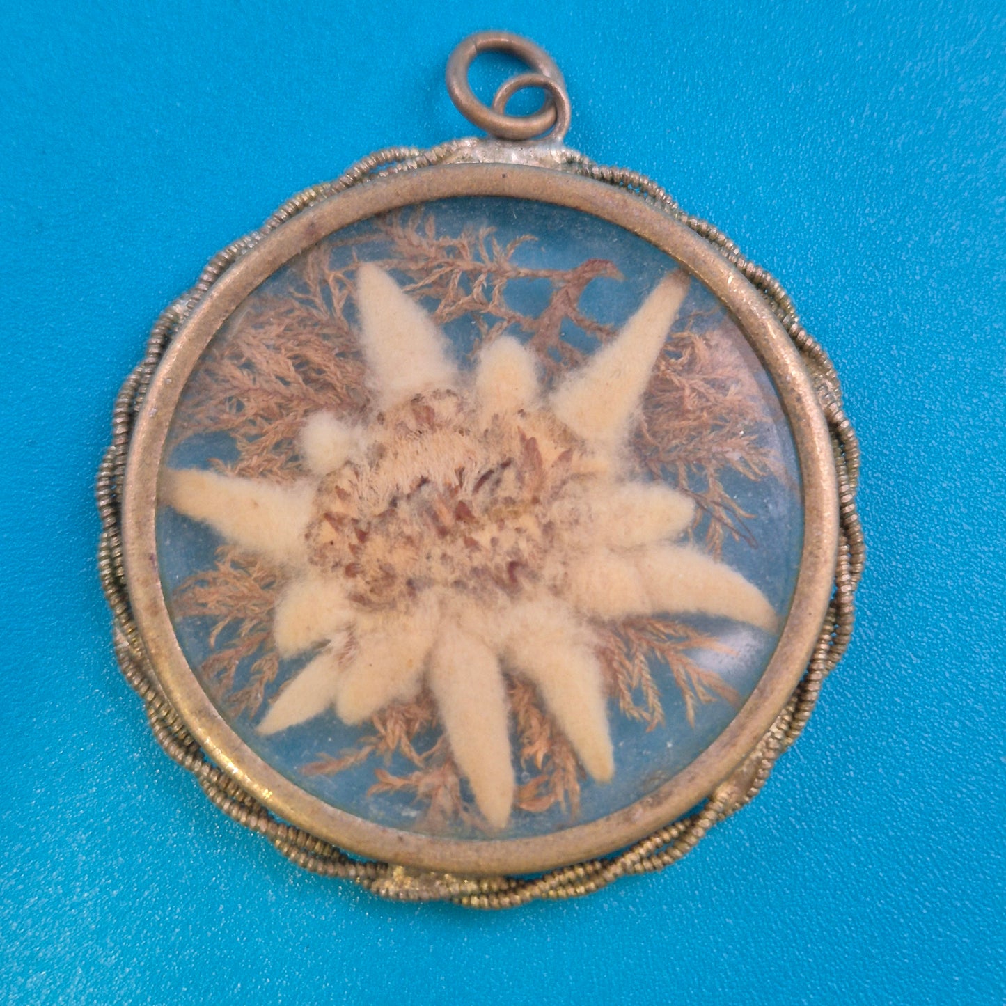 Vintage Edelweiß Anhänger mit Filigranrand im Glas-Medaillon