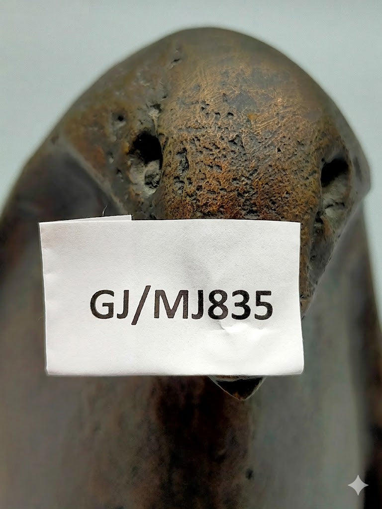 Kunstvolle Bronze Pinguin Figur – Edle Skulptur für Sammler