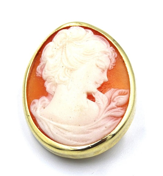 Elegante Cameo-Brosche