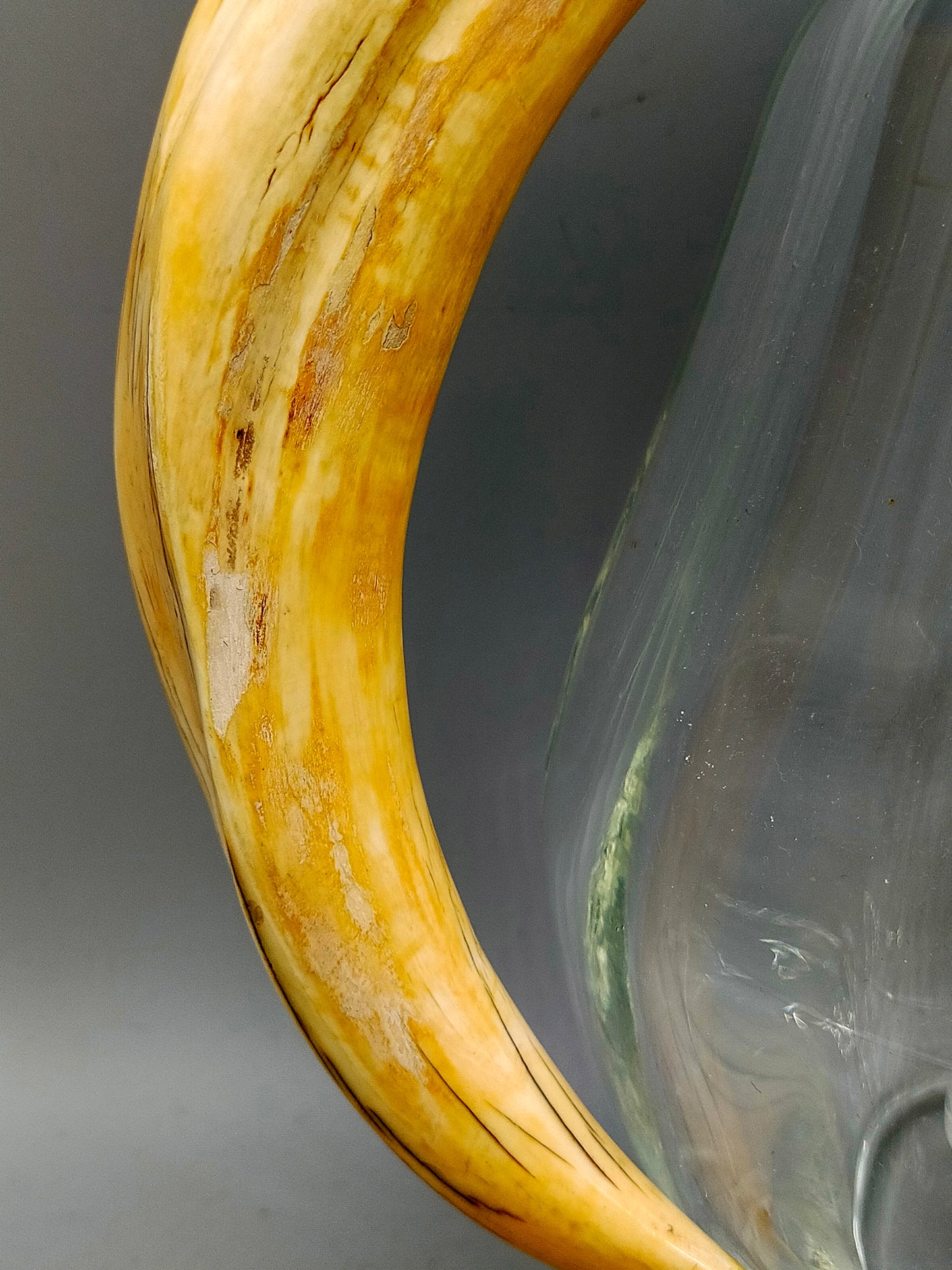 Vintage Glas Karaffe mit Einsatz & Horn Griff – Dekorativ