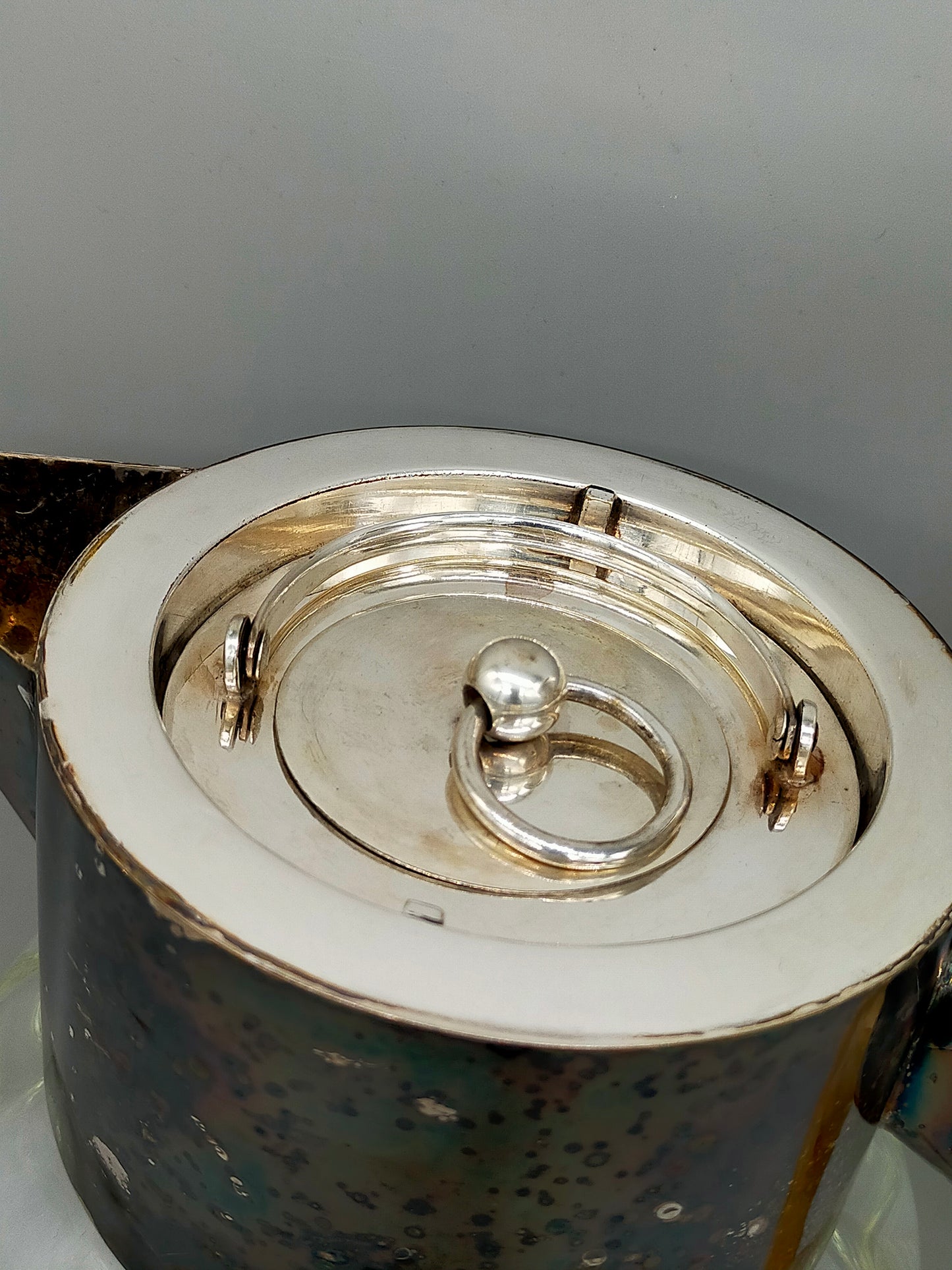 Vintage Glas Karaffe mit Einsatz & Horn Griff – Dekorativ