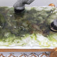 Napoleon Bonaparte Offizier 1808 - Porzellan Figur Limoges Handarbeit