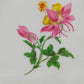 Meissen Porzellan Platte – Handbemalt mit Blumen