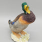 Porzellan Figur Erpel Hutschenreuther – Detailreicher Vogel