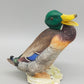 Porzellan Figur Erpel Hutschenreuther – Detailreicher Vogel