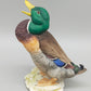 Porzellan Figur Erpel Hutschenreuther – Detailreicher Vogel