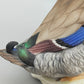 Porzellan Figur Erpel Hutschenreuther – Detailreicher Vogel