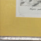 Historisches Bild "Orbis Longitudines" – Ioan Stradanus Maritimer Kupferstich