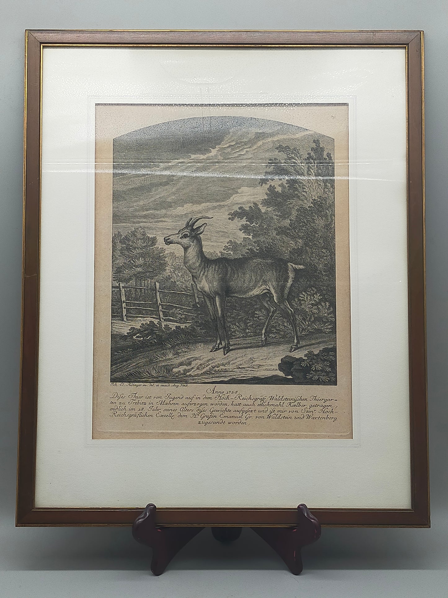 Historische Tierdarstellung von 1758 – Edler Kupferstich im Holzrahmen