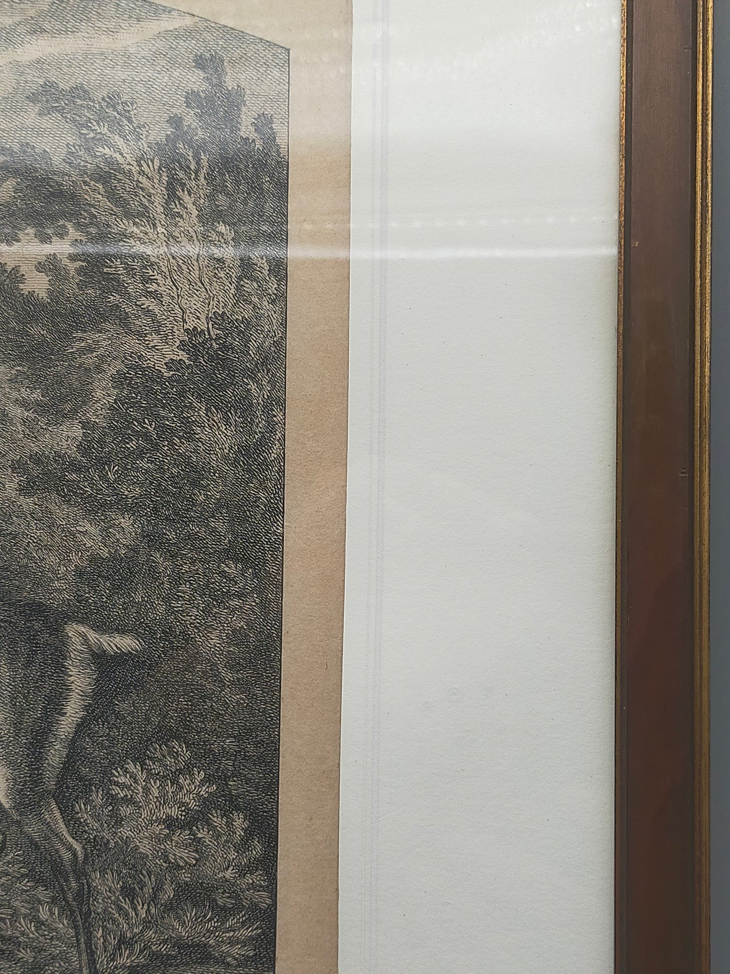 Historische Tierdarstellung von 1758 – Edler Kupferstich im Holzrahmen