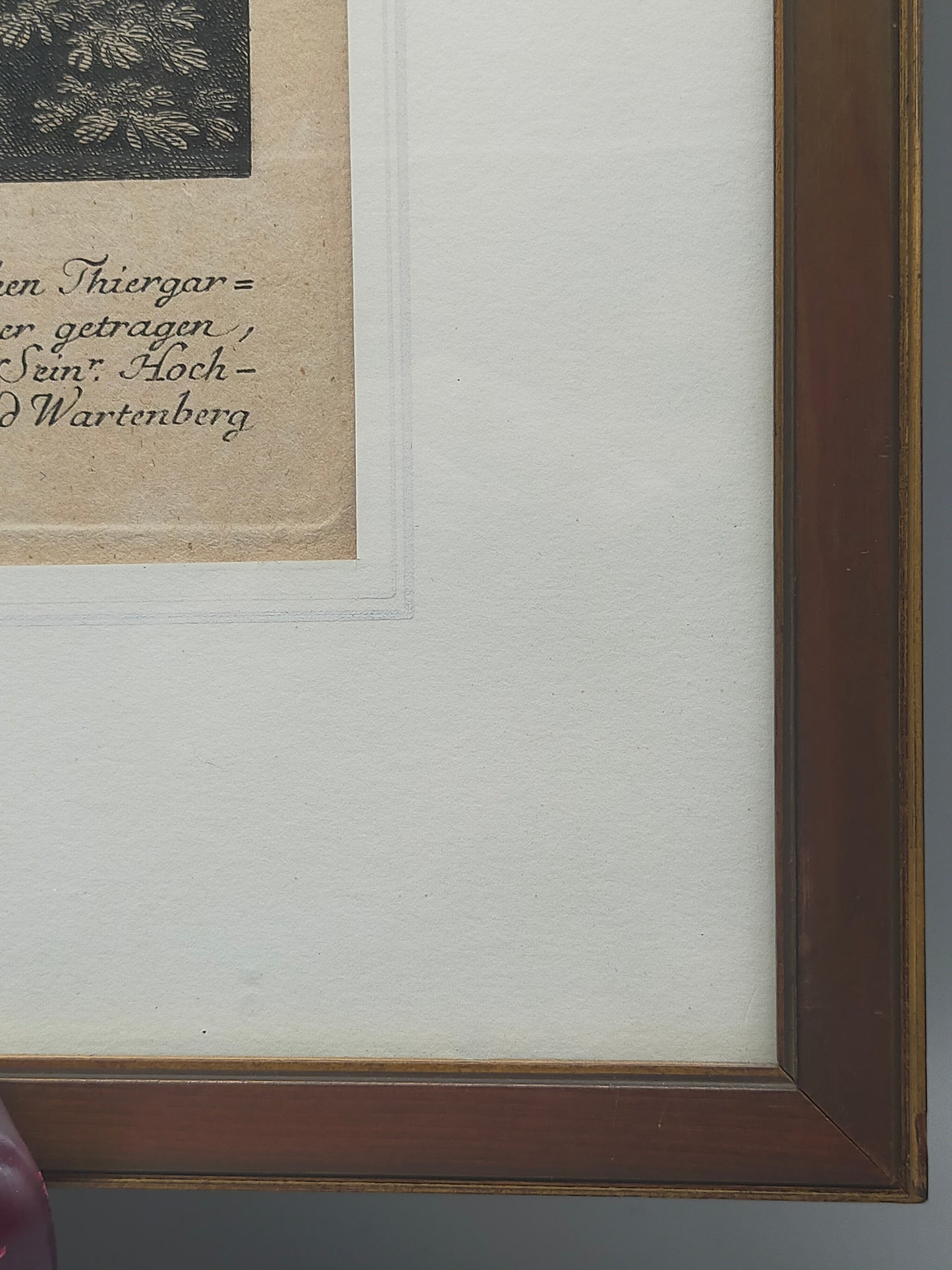 Historische Tierdarstellung von 1758 – Edler Kupferstich im Holzrahmen