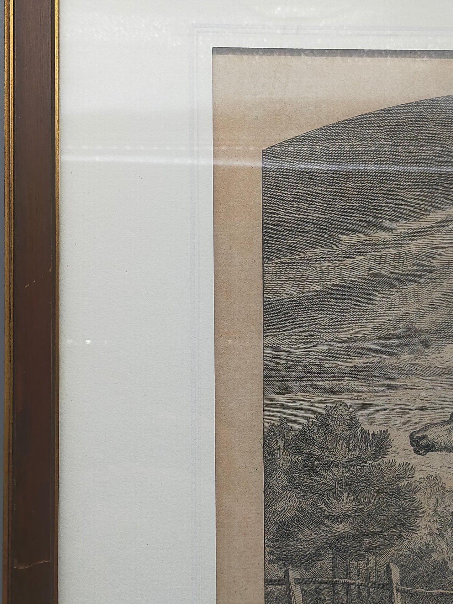Historische Tierdarstellung von 1758 – Edler Kupferstich im Holzrahmen