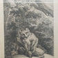 Historische Bild Bär Johann Elias Ridinger Ein weiser Grünländischer Baehr