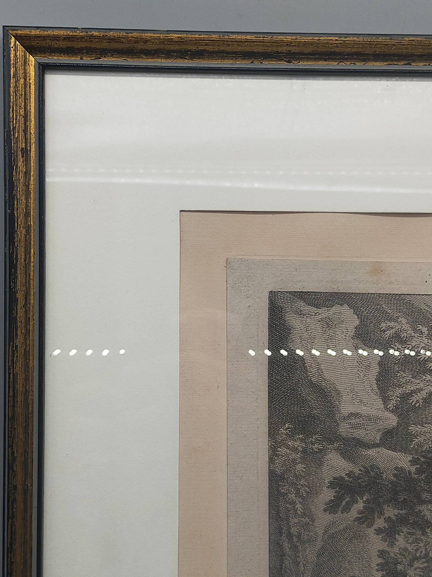 Historische Bild Bär Johann Elias Ridinger Ein weiser Grünländischer Baehr