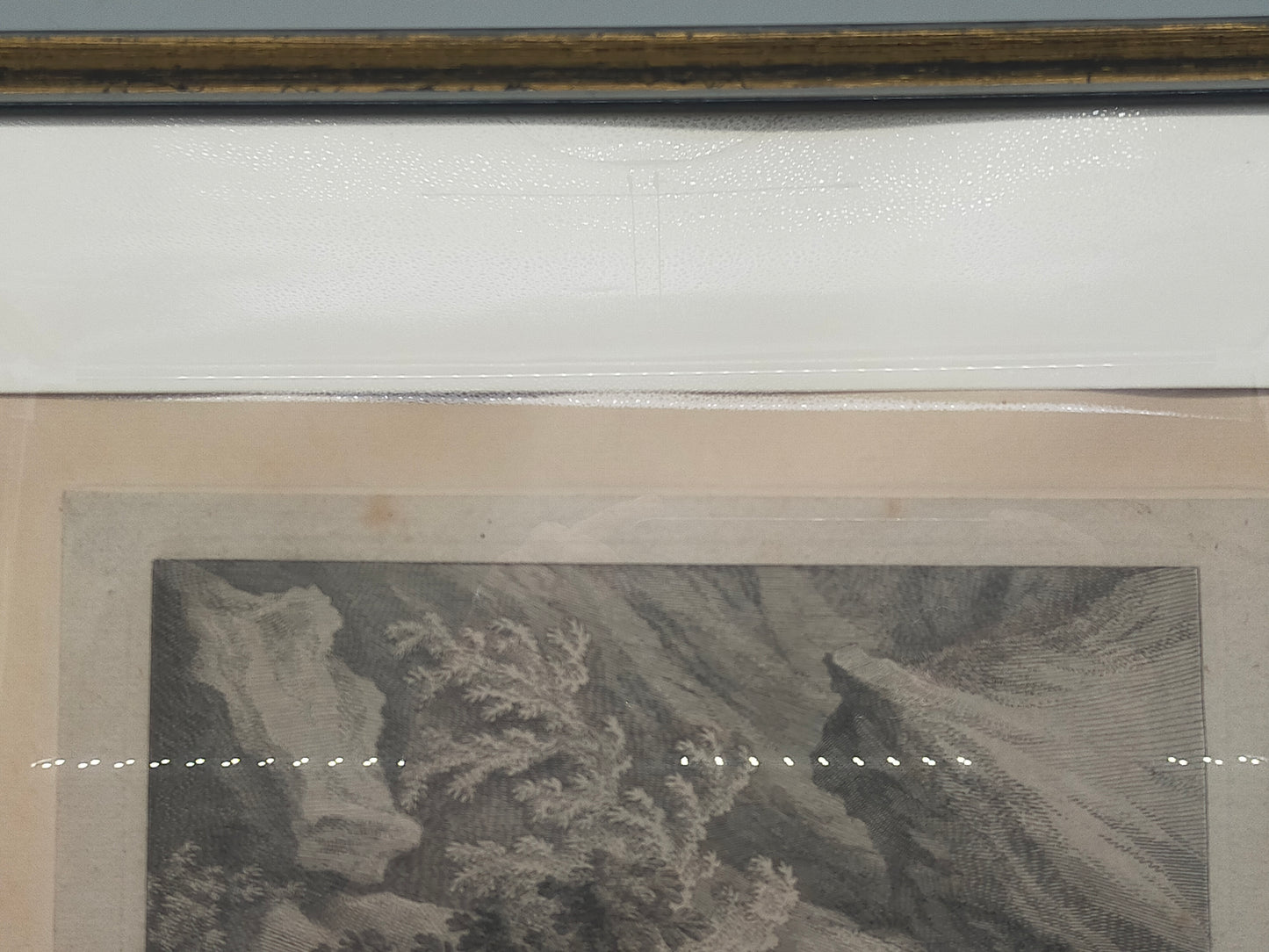Historische Bild Bär Johann Elias Ridinger Ein weiser Grünländischer Baehr