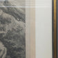 Historische Bild Bär Johann Elias Ridinger Ein weiser Grünländischer Baehr