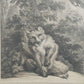 Historische Bild Bär Johann Elias Ridinger Ein weiser Grünländischer Baehr