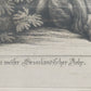 Historische Bild Bär Johann Elias Ridinger Ein weiser Grünländischer Baehr