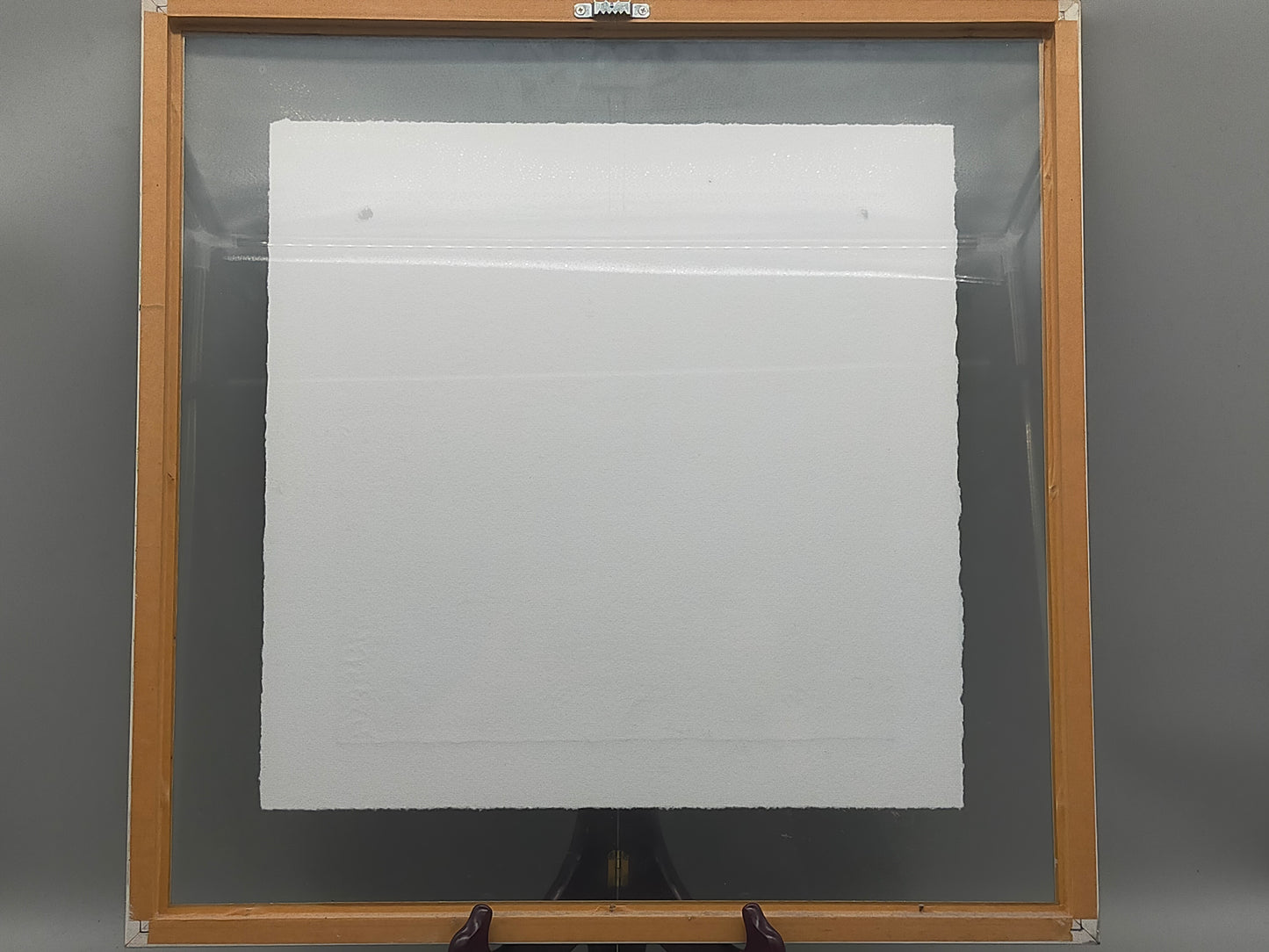 Limitierte Radierung "Zodiac" hinter Glas – Signiert & Nummeriert (320/330)