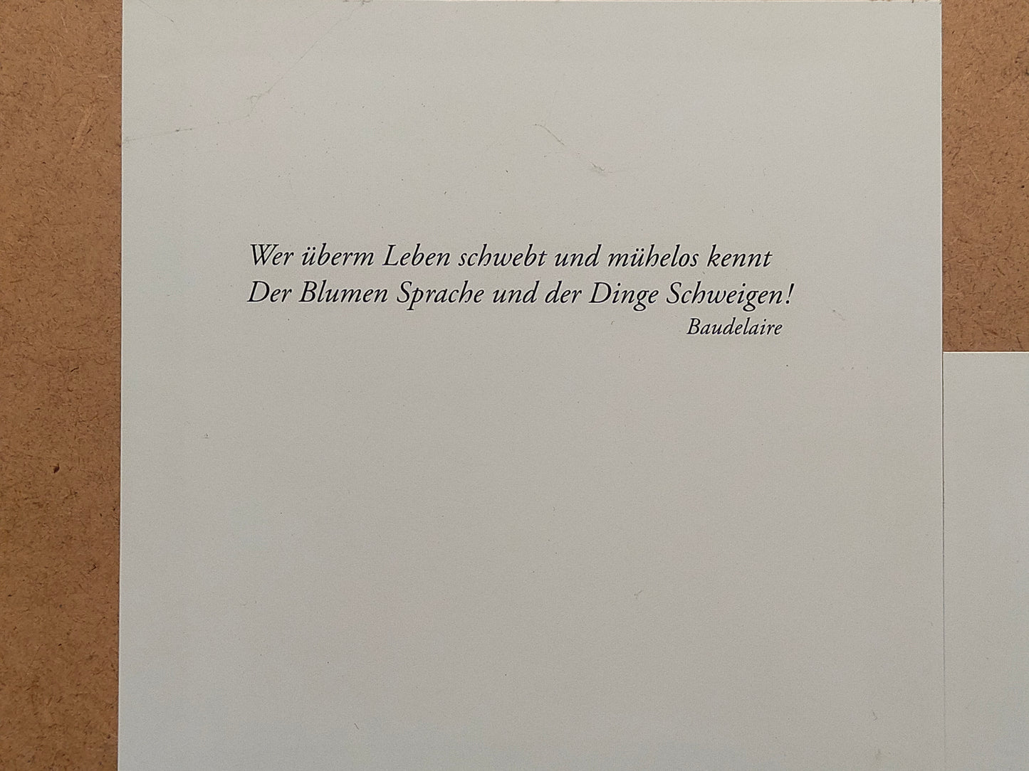 Anja Manderbach Original Grafik Sonnenblumen – Signiert & Limitiert 1994