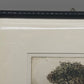 Marlene Mintert Radierung „Alentejo I“ – Signiertes Kunstwerk (1992)
