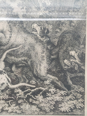 Antiker Kupferstich „Der Auer Ochse“ – J. El. Ridinger, Goldrahmen