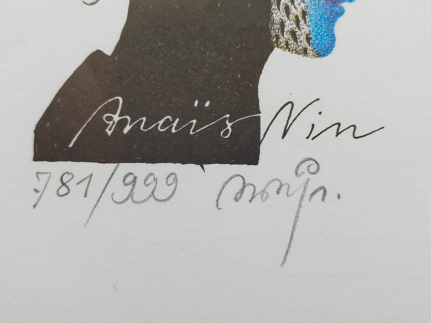 Michael Mathias Limitierte Anais Nin Grafik im Rahmen Kunstvolles Porträt