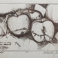 Original Zeichnung „Fallobst“ von 1982 – Handsigniertes Stillleben im Rahmen