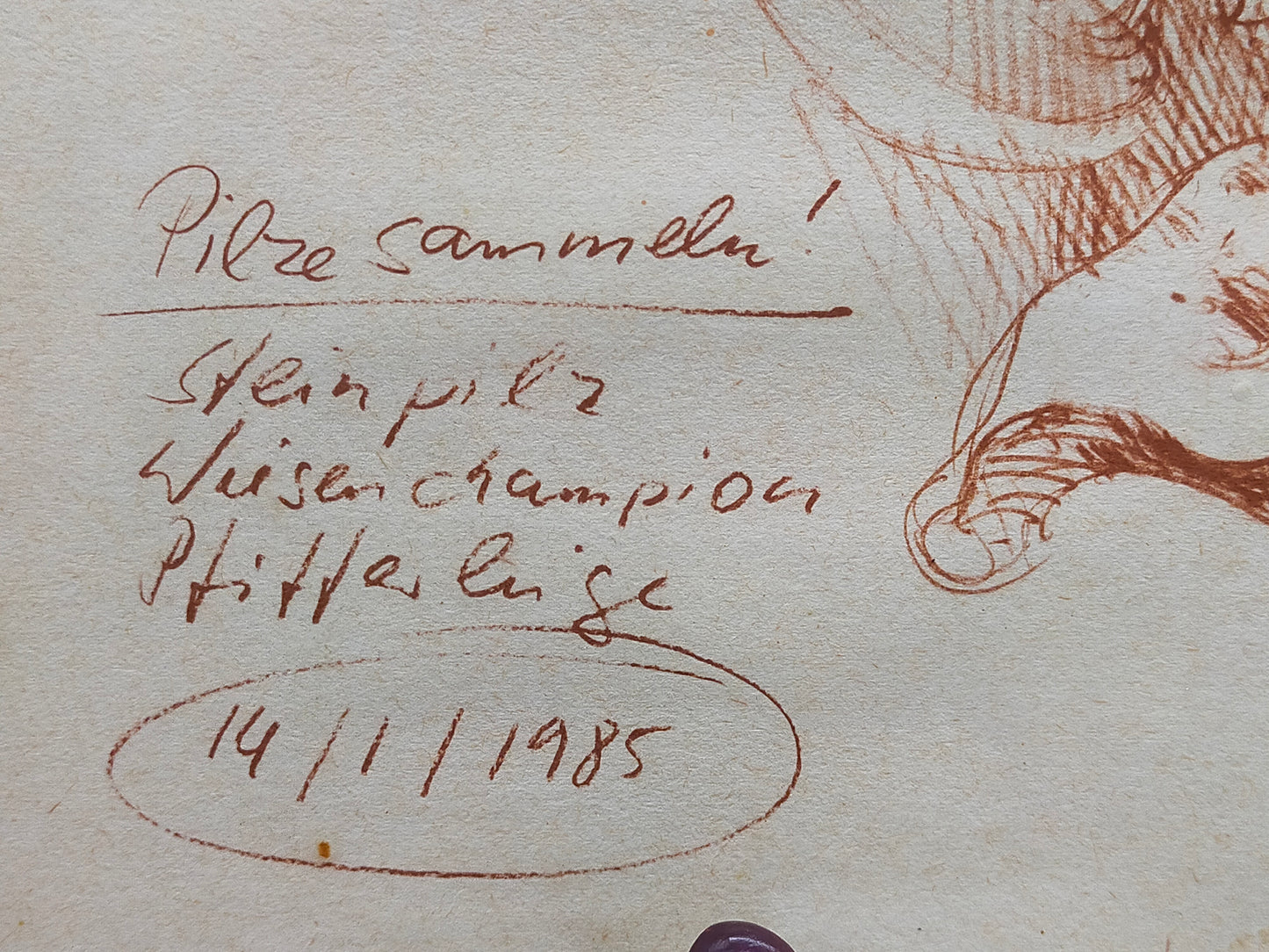 Original Zeichnung „Pilze sammeln“ von 1985 – Signiert & Gerahmt