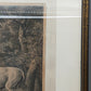 Antiker Kupferstich „Weißer Damhirsch“ – J. E. Ridinger, 18. Jh. gerahmt