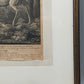 Antiker Kupferstich „Weißer Damhirsch“ – J. E. Ridinger, 18. Jh. gerahmt