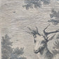 Antiker Kupferstich „Weißer Damhirsch“ – J. E. Ridinger, 18. Jh. gerahmt