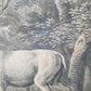 Antiker Kupferstich „Weißer Damhirsch“ – J. E. Ridinger, 18. Jh. gerahmt