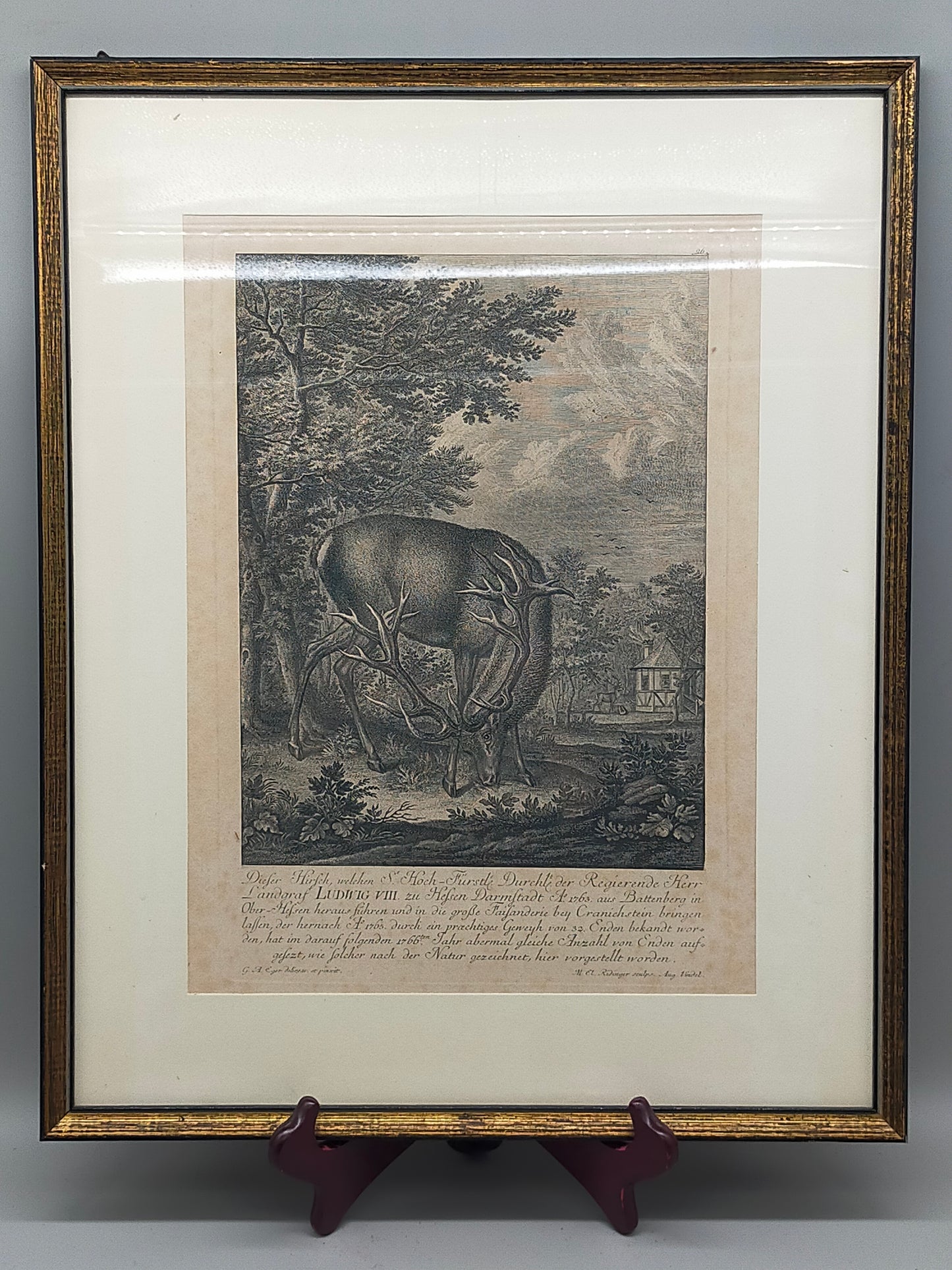 Antiker Kupferstich Johann Elias Ridinger – Prachtvoller Hirsch von 1763