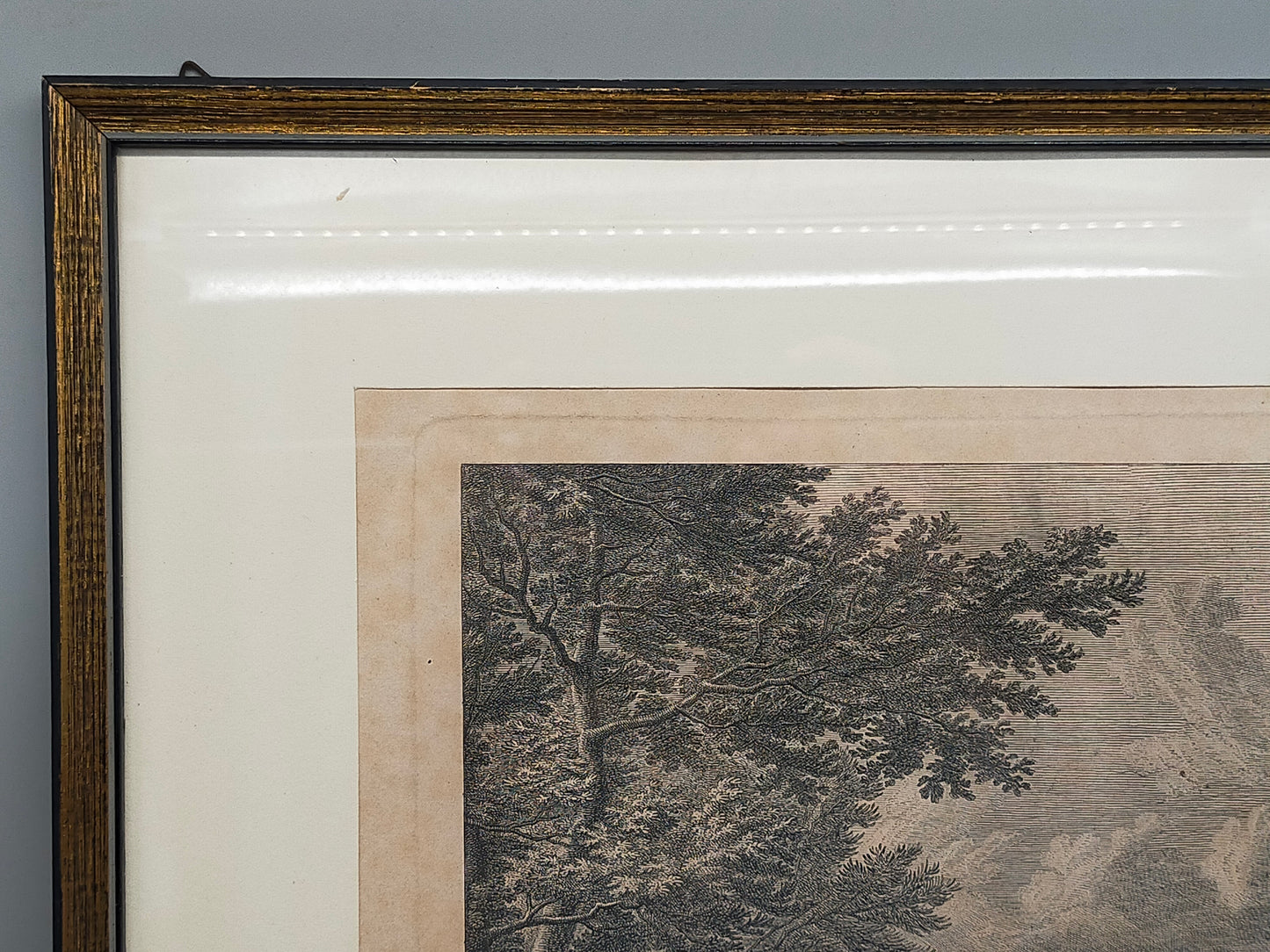 Antiker Kupferstich Johann Elias Ridinger – Prachtvoller Hirsch von 1763
