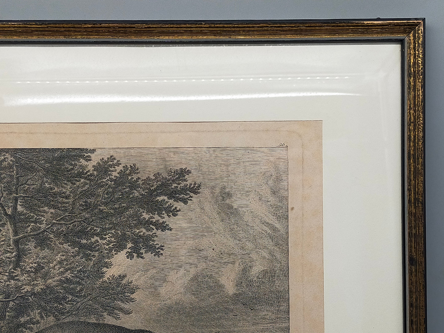 Antiker Kupferstich Johann Elias Ridinger – Prachtvoller Hirsch von 1763