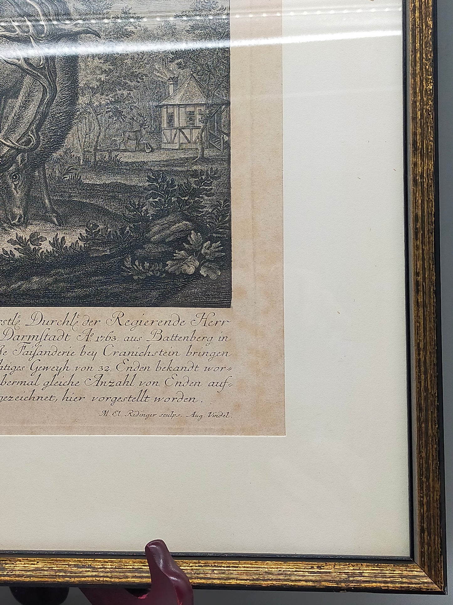 Antiker Kupferstich Johann Elias Ridinger – Prachtvoller Hirsch von 1763