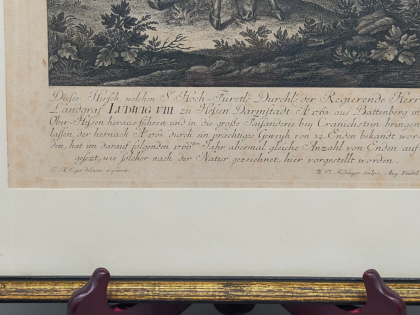 Antiker Kupferstich Johann Elias Ridinger – Prachtvoller Hirsch von 1763